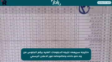 «نتيجة سريعة» نتيجة الدبلومات الفنية برقم الجلوس من nategafany.emis.gov.eg فور الإعلان الرسمي